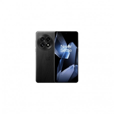 OnePlus 13 5G 12GB/256GB, black (EU) 17.3 cm (6.82") Dual SIM Android 15 USB Type-C 6000 mAh
