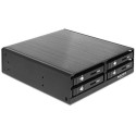 DeLOCK 47220 drive bay panel Black