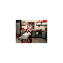 Einhell TC-TS 315 U 2950 RPM