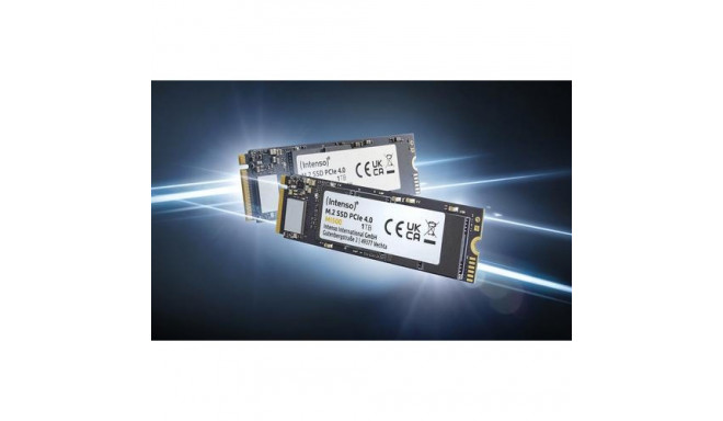 Intenso 3836460 internal solid state drive 1 TB M.2 PCI Express 4.0 NVMe