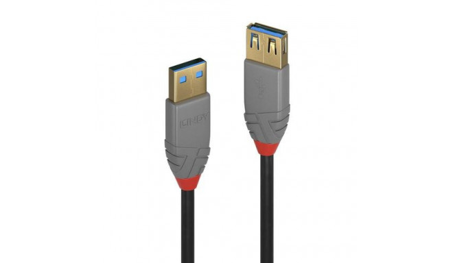 Lindy 1m USB 3.2 Type A Extension Cable, 5Gbps, Anthra Line
