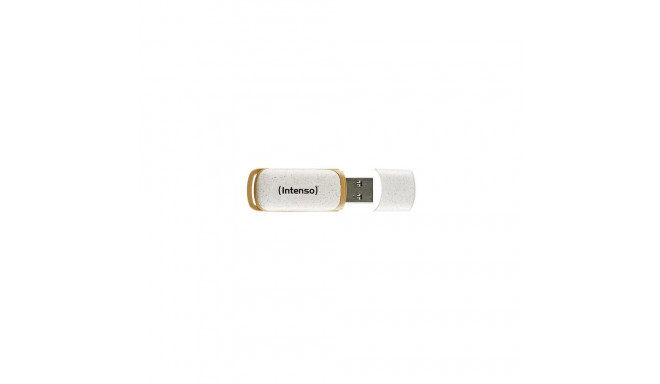 Intenso Green Line USB flash drive 128 GB USB Type-A 3.2 Gen 1 (3.1 Gen 1) Beige, Brown