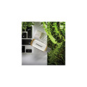 Intenso Green Line USB flash drive 128 GB USB Type-A 3.2 Gen 1 (3.1 Gen 1) Beige, Brown