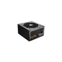 COUGAR Gaming GEX850 power supply unit 850 W 20+4 pin ATX ATX Black