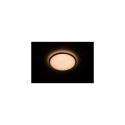 Philips Ceiling light 3182331P5