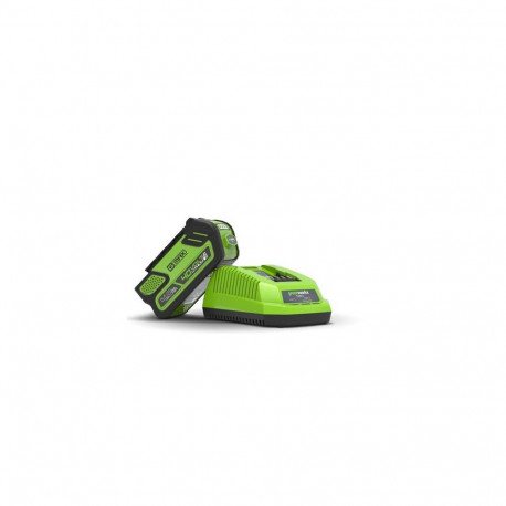 Greenworks 2936607 cordless tool battery / charger Battery & charger set