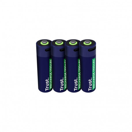 Trust 25631 household battery Rechargeable battery AA