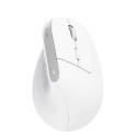 Trust Bayo+ mouse Office Right-hand RF Wireless + Bluetooth Optical 2400 DPI