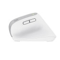 Trust Bayo+ mouse Office Right-hand RF Wireless + Bluetooth Optical 2400 DPI