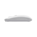 Trust Lyra keyboard Mouse included Office RF Wireless + Bluetooth QWERTY US English White