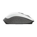 Trust Ozaa mouse Office Right-hand RF Wireless Optical 2400 DPI