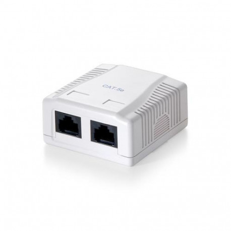 Equip 2-Port Cat.5e Surface Mount Box