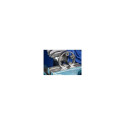 PFERD 21105076 rotary burr 1 pc(s)