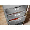 DYMO LabelManager ™ 210D+ QWERTY Kitcase