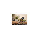 Gardena 18814-20 garden water spray gun nozzle Green, Grey