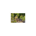 Gardena 14842-55 electric patio cleaner