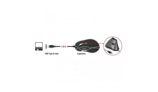 DeLOCK 12527 mouse Right-hand USB Type-A Optical 800 DPI