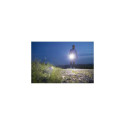 Brennenstuhl 1173750004 flashlight Black Hand flashlight LED