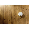 Kärcher RCV 3 0.5 L Bagless White