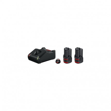 Bosch 1 600 A01 9RD cordless tool battery / charger Battery & charger set