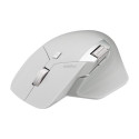 Rapoo MT760L mouse Right-hand RF Wireless + Bluetooth Optical 3200 DPI