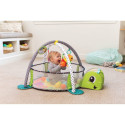 INFANTINO Grow-with-me activity gym & ball pit