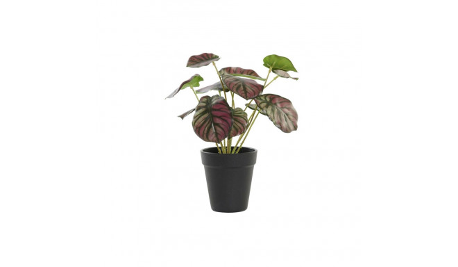 Dekoratiivne Taim DKD Home Decor Roosa Roheline PE (10 x 10 x 27 cm)