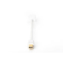 "DIGITUS DisplayPort Adapter Mini DP-->HDMI A St./Bu.0,15 wei"