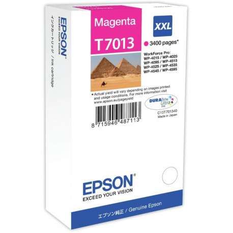 "Epson C13T70134010 magenta EHC"