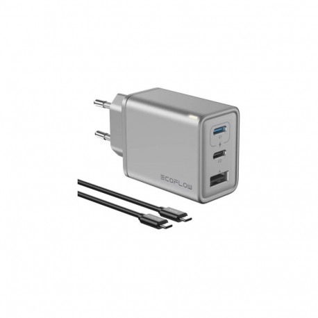 Ecoflow Rapid Charger 65W USB laadija 100W kaabliga