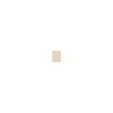 Clinique Almost Powder Make-Up SPF15 (10g)