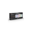 Savio WHITEOUT X2 PEACH keyboard Gaming USB QWERTY UK International White