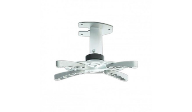 ART P-101 project mount Ceiling Silver