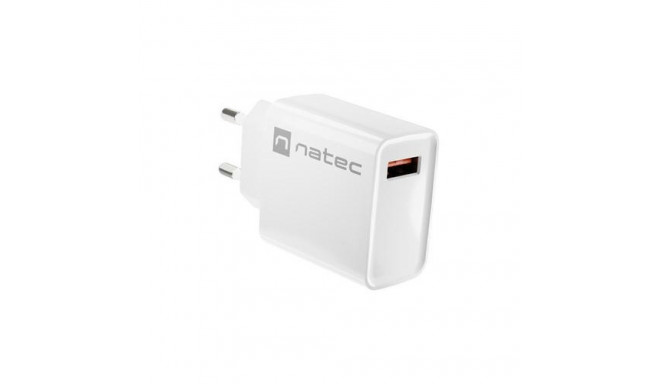 NATEC RIBERA Universal White AC Fast charging Indoor