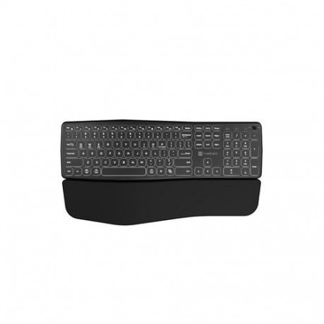 NATEC PORIFERA keyboard Home/Office Bluetooth QWERTY US International Black