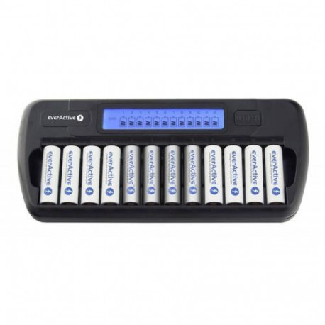 Everactive NC-1200 battery charger Universal DC