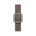 Apple 42mm Dark Taupe Modern Buckle - Large