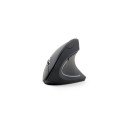 Gembird MUSW-ERGO-01 mouse Office Right-hand RF Wireless Optical 1600 DPI