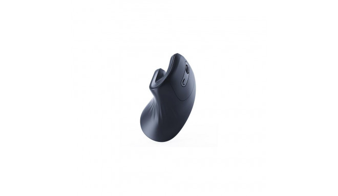 Gembird MUSW-ERGO-03 mouse Home Right-hand RF Wireless Optical 1600 DPI