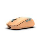 Inca IWM-511RT mouse Office Right-hand RF Wireless + Bluetooth + USB Type-C Optical 1600 DPI