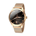 MaxCom FW42 GOLD smartwatch / sport watch 2.77 cm (1.09") TFT Digital 240 x 240 pixels Touc MaxCom FW42 GOLD smartwatch / sport watch 2.77 cm (1.09") TFT Digital 240 x 240 pixels Touc