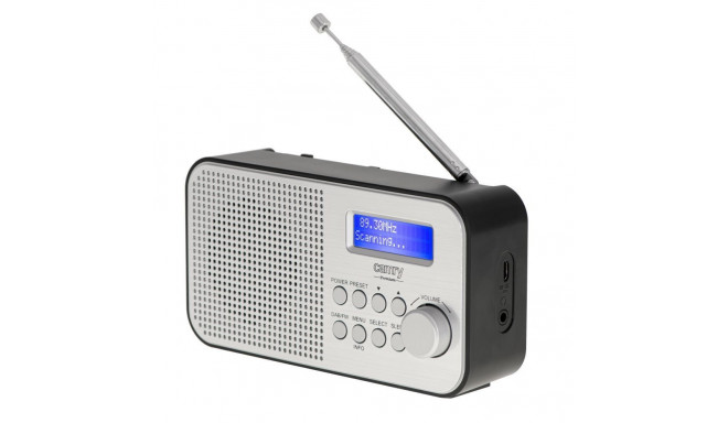 Camry Portable Radio CR 1179 Display LCD, Black/Silver, Alarm function