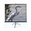 Elite Screens Tripod Series T120NWV1 Diagonal 120