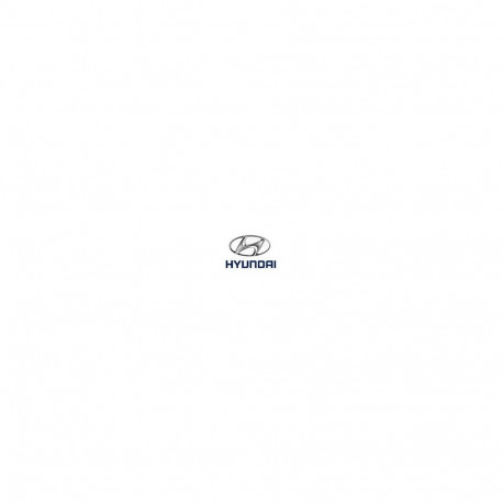 Numbrialus HYUNDAI logoga