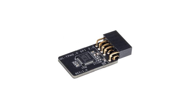 Gigabyte MB ACC TPM MODULE/TPM2.0 SPI V2.0