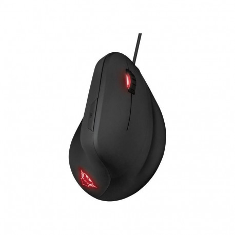 GXT144 REXXERGO hiir