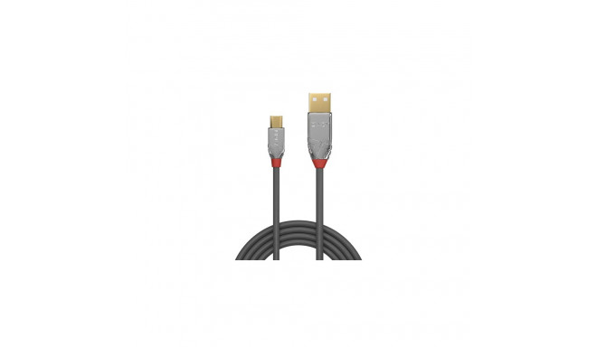 Lindy USB 2.0 Typ A an B kaabel Cromo Line 5 m