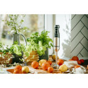 Blender Adler AD 4628
