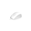 Keysonic KSM-5030M-W hiir (60193)