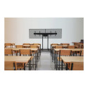Neomounts Floor stand | ADM-875BL2 Dual screen adapter | Adjustable Height | 42-65 " | Maximum weigh